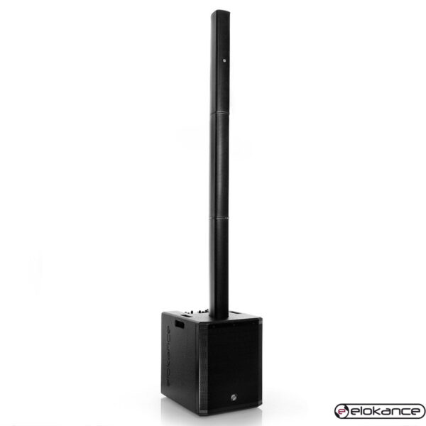 Elokance - Line Club: 1000W stupni drveni razglas, DSP, mixer,Bluetooth - Slika 2