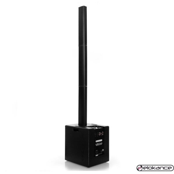 Elokance - Line Club: 1000W stupni drveni razglas, DSP, mixer,Bluetooth - Slika 6